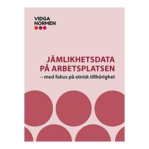 Omslag Jämlikhetsdata på arbetsplatsen